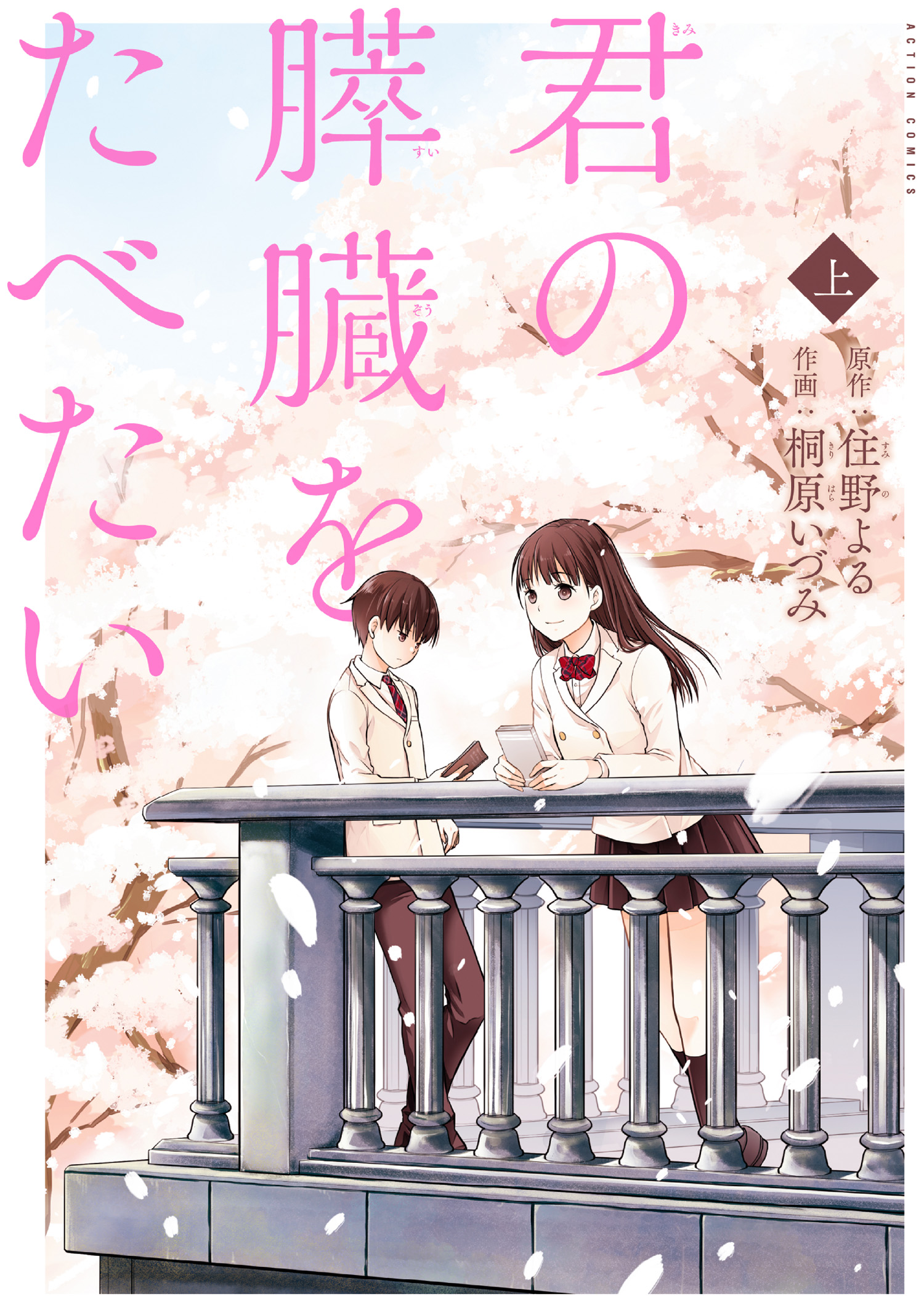 Kimi no Suizou wo Tabetai Scan ITA